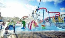 Tour khám phá bắc đảo Vinpearl Land & safari