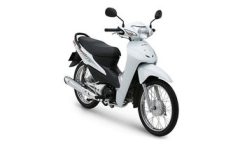 Honda wave alpha