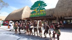 Alternative view of Tour khám phá bắc đảo Vinpearl Land & safari