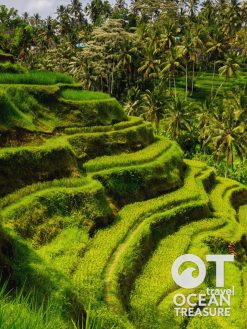 Tour Bali 4 ngày 3 đêm: Ubud - Nusa Dua