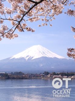 Alternative view of Tour Nhật Bản Tokyo - Núi Phú Sĩ 5 ngày 4 đêm
