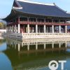Tour Hàn Quốc Seoul - Nami - Everland 5 ngày 4 đêm