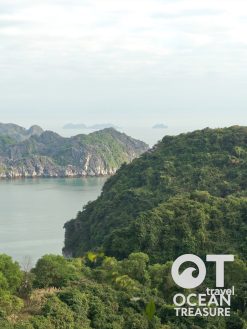 Alternative view of Tour Cát Bà - Vịnh Lan Hạ 3 ngày 2 đêm