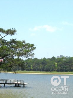 Tour Đà Lạt 3 ngày 2 đêm: Hồ Xuân Hương - Langbiang - Ga cổ