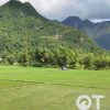 Tour Mộc Châu - Mai Châu 3 ngày 2 đêm
