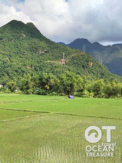 Tour Mộc Châu - Mai Châu 3 ngày 2 đêm