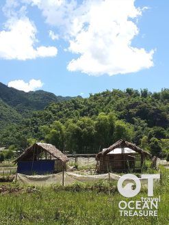 Alternative view of Tour Mộc Châu - Mai Châu 3 ngày 2 đêm