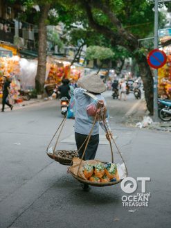 Alternative view of Dịch vụ food tour đêm Việt Nam cho khách quốc tế tự túc