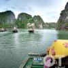 Dịch vụ đặt du thuyền và trải nghiệm vịnh