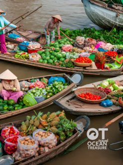 Alternative view of Tour Cần Thơ chợ nổi Cái Răng và miệt vườn buổi sáng