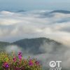 Tour săn mây Đà Lạt, Cầu Đất và cafe view thung lũng
