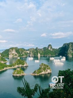 Alternative view of Tour du thuyền Hạ Long 1 ngày từ Hà Nội giá tốt