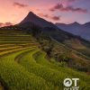 Tour Sapa, bản Cát Cát và Fansipan 2 ngày 1 đêm
