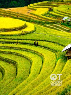 Alternative view of Tour Sapa, bản Cát Cát và Fansipan 2 ngày 1 đêm
