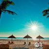 Tour 3 đảo Bãi Tranh, Vịnh San Hô và Hòn Tằm Nha Trang