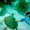 Tour cano riêng chọn 3 đảo Nha Trang theo yêu cầu