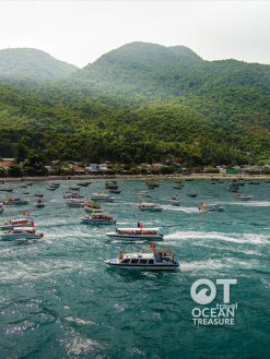 Tour Cù Lao Chàm 1 ngày từ Đà Nẵng và Hội An
