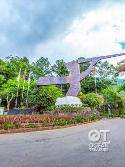 Alternative view of Tour Hòn Chảo lặn ngắm san hô từ Đà Nẵng