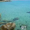 Tour Bình Hưng, Hang Rái và vườn nho từ Nha Trang