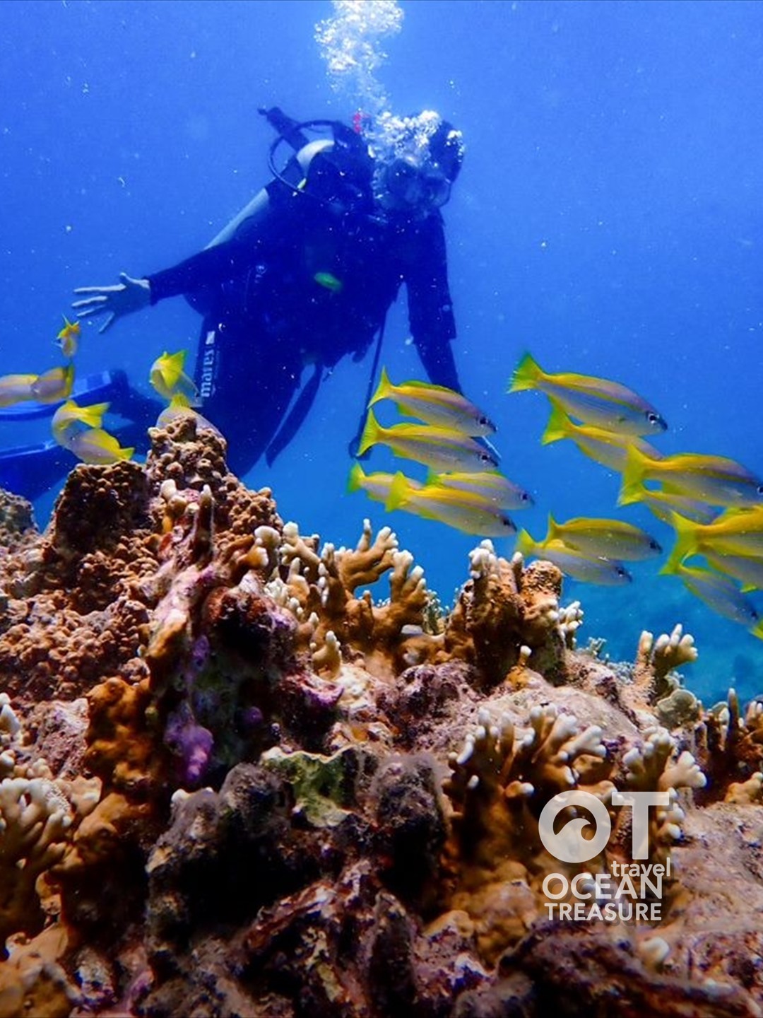 Tour lặn biển Hòn Mun Nha Trang và snorkeling ngắm san hô - Nha Trang
