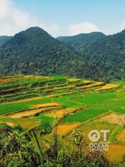 Tour Mai Châu - Pù Luông 2 ngày 1 đêm nghỉ xanh và bản làng - Mai Châu, Pù Luông, ruộng bậc thang và bản làng