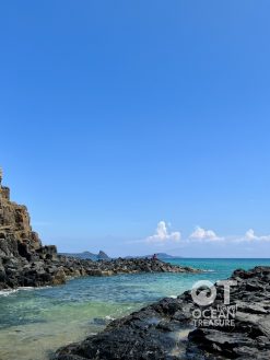 Tour Phú Yên Gành Đá Đĩa, Mũi Điện và Bãi Xép 1 ngày - Phú Yên Gành Đá Đĩa, Mũi Điện và Bãi Xép