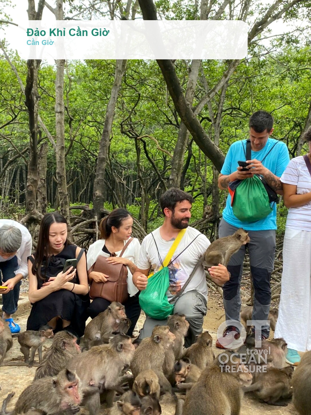Alternative view of Cần Giờ rừng ngập mặn, Đảo Khỉ và hải sản 1 ngày