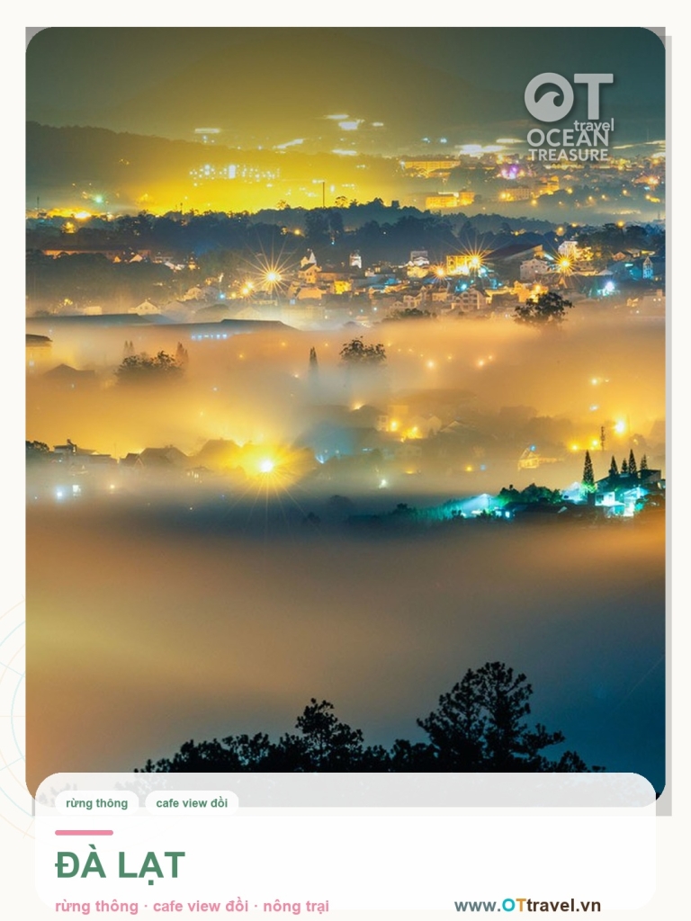 Đà Lạt rừng thông, cafe view đồi và nông trại 1 ngày