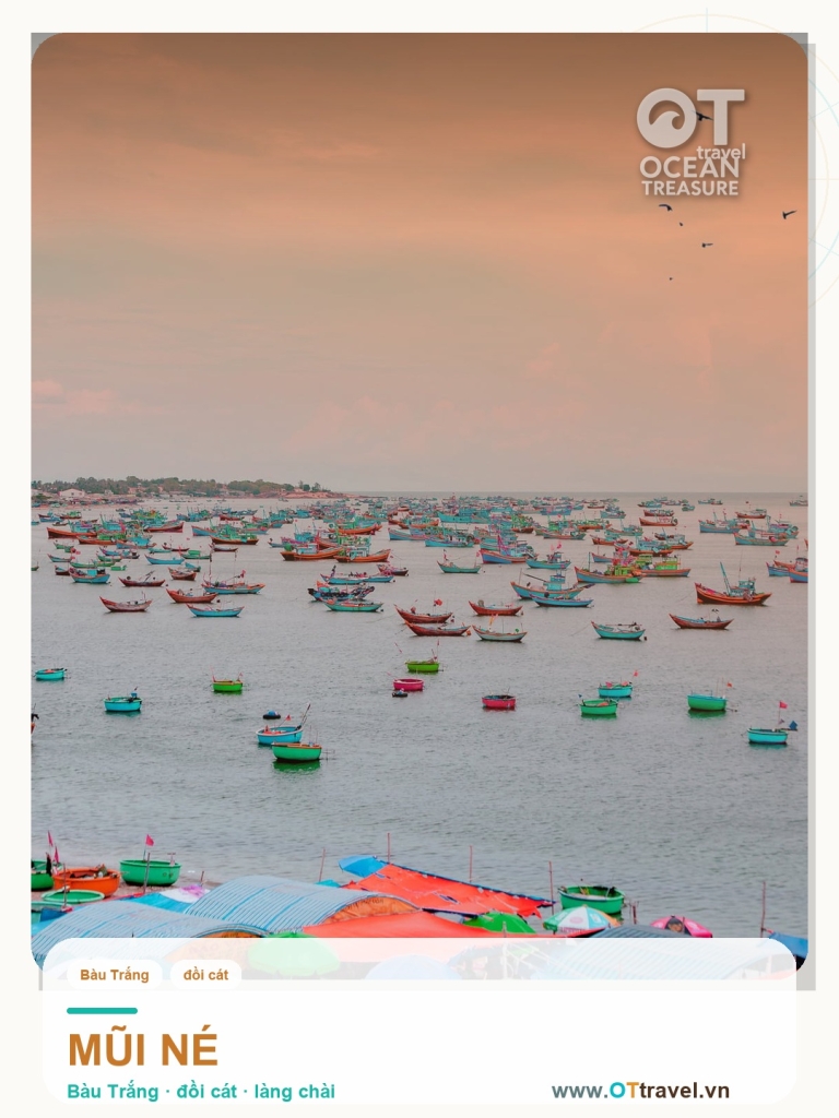Mũi Né Bàu Trắng, đồi cát và làng chài 1 ngày