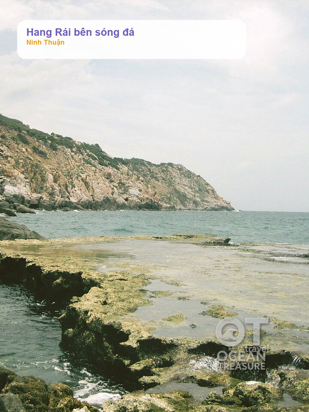 Alternative view of Ninh Thuận Vĩnh Hy, Hang Rái và vườn nho 1 ngày