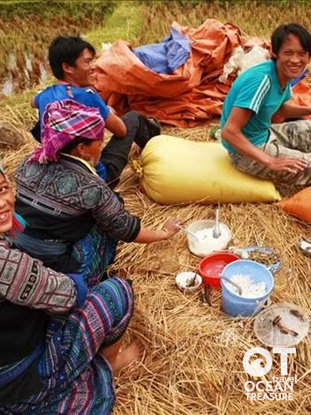 Người dân dùng bữa nghỉ trưa ngay trên cánh đồng mùa gặt.
