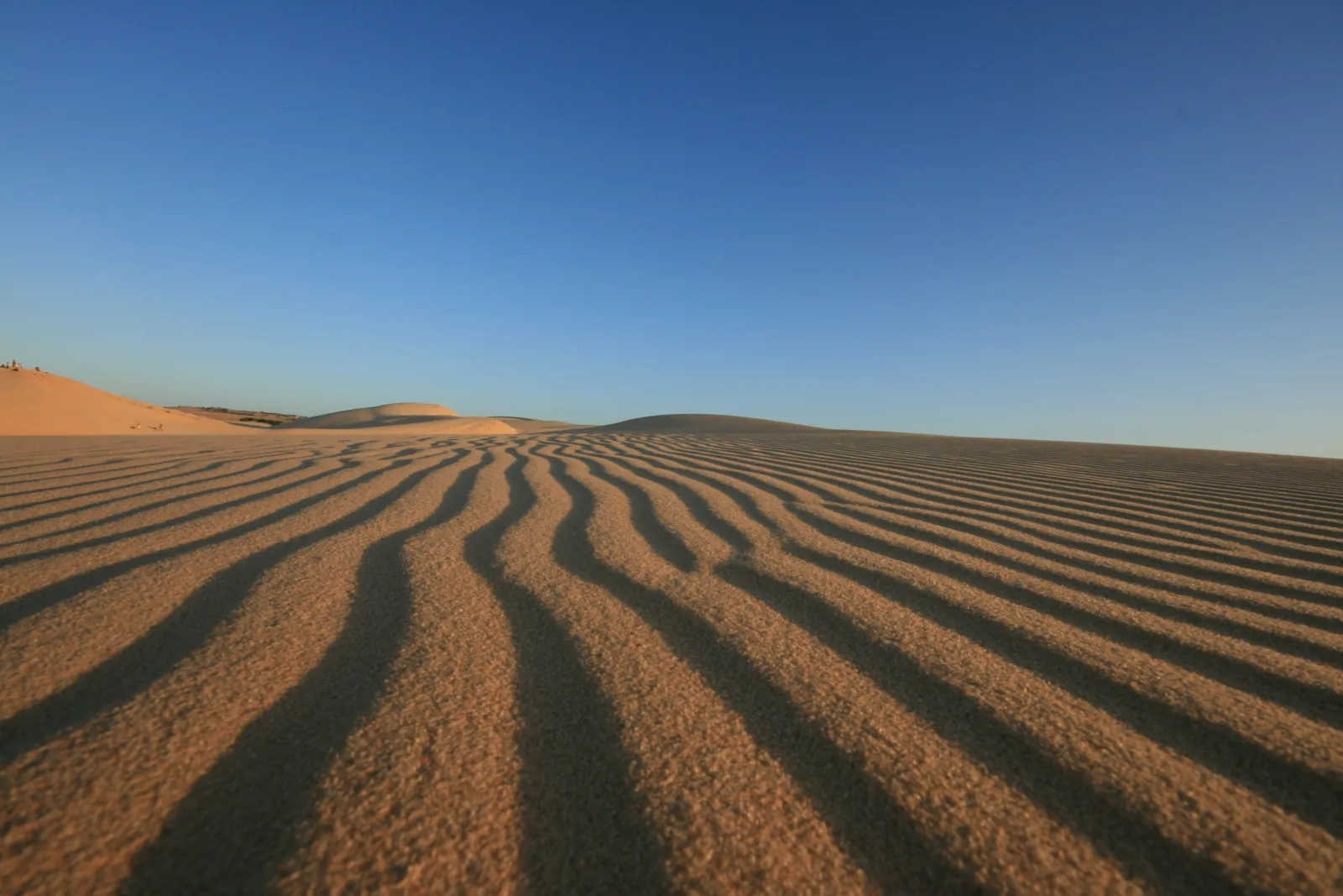 Rippled sand and long shadows in low sunlight on the Mui Ne sand dunes near Phan Thiet under a clear blue sky