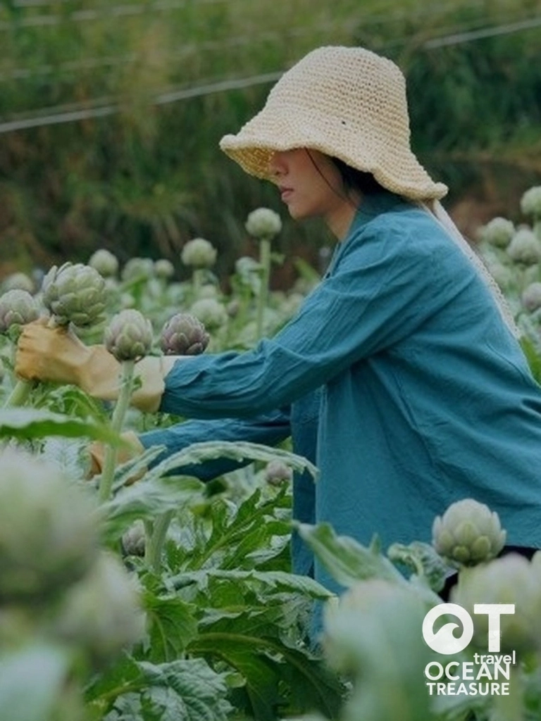 Trại atiso và bếp nhà vườn Trại Mát