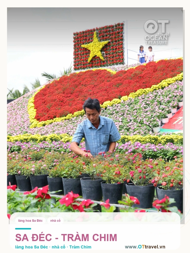 Sa Đéc làng hoa, nhà cổ và Tràm Chim 1 ngày