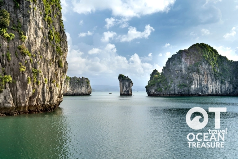 Chợ cá Hòn Gai buổi sớm