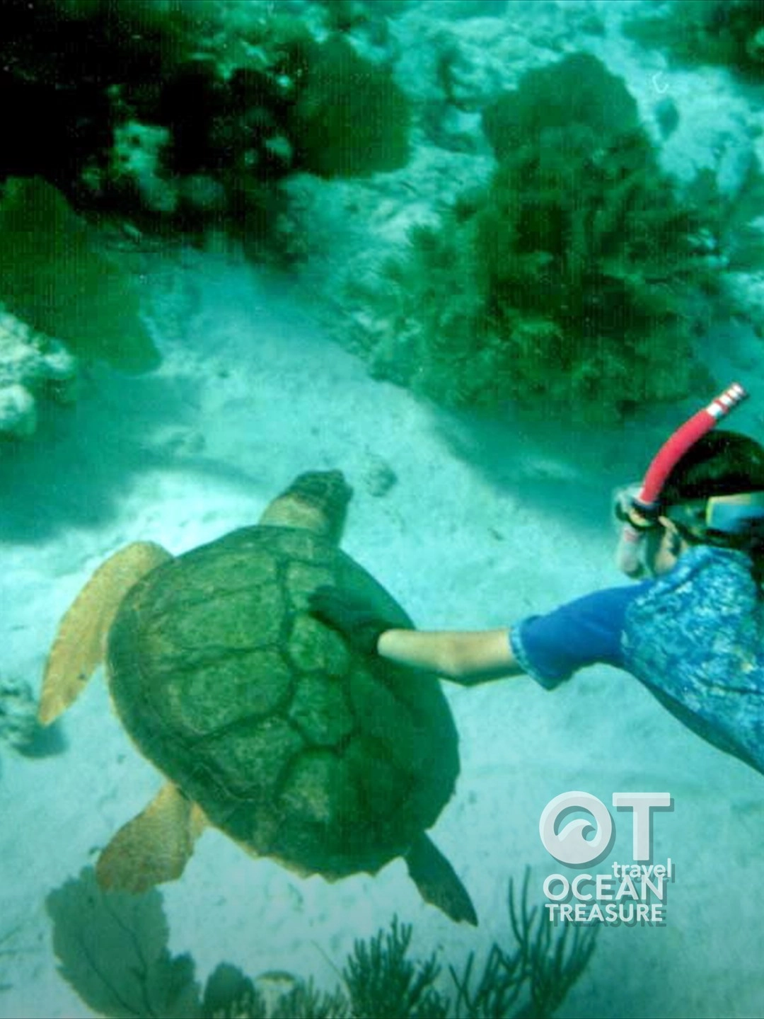 Cano riêng chọn 3 đảo Nha Trang theo yêu cầu