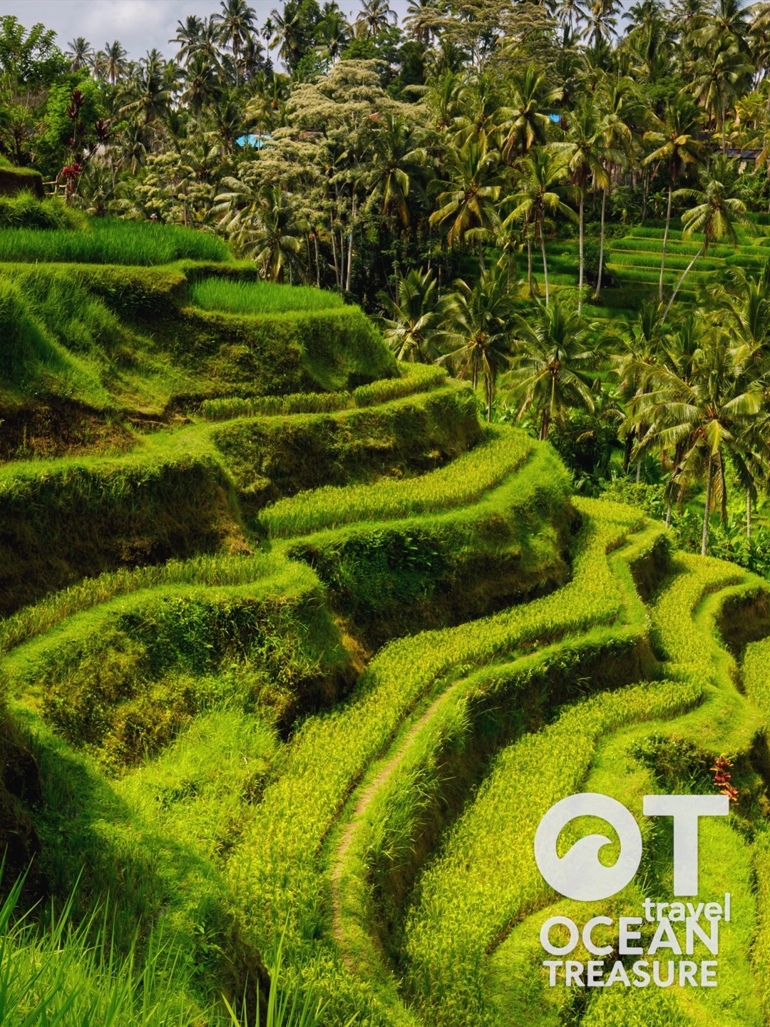 Bali 4 ngày 3 đêm: Ubud - Nusa Dua