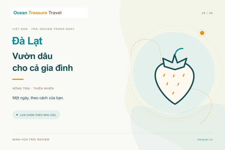 Hình minh họa trải nghiệm: Đà Lạt: vườn dâu và trải nghiệm nông trại cho gia đình