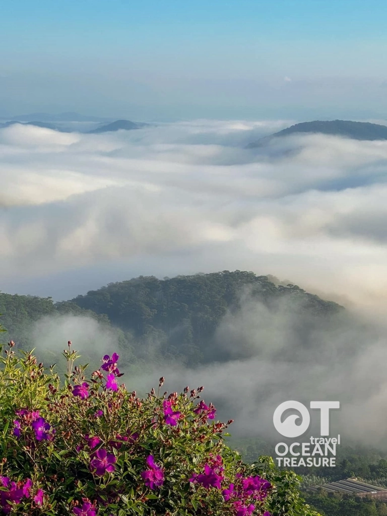 Săn mây Đà Lạt, Cầu Đất và cafe view thung lũng