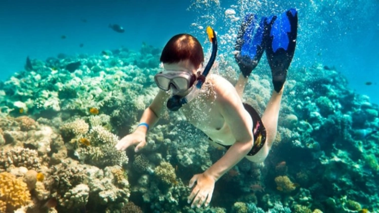 Câu cá và lặn ngắm san hô Bắc Đảo
